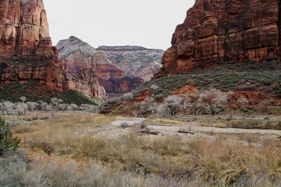 Red rock canyon surrounding a broad, grassy river valley in Utah